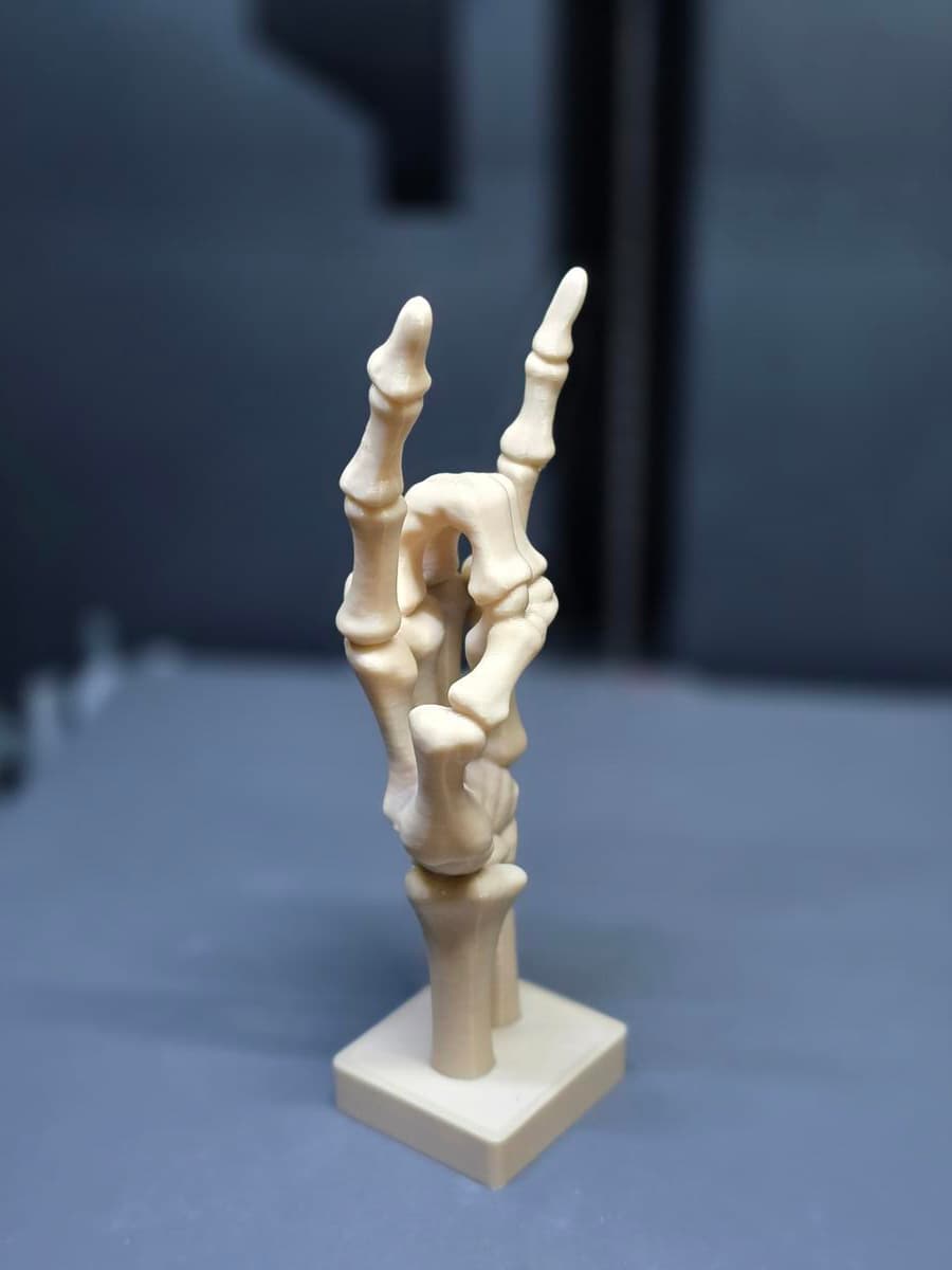 Escultura Bone to Rock vista frontal com detalhes em relevo