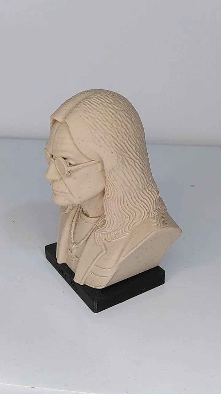 Busto Roqueiro sobre superfície, em contexto